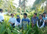 Kinerja Dapat Pujian Pusat! Mentan Amran Apresiasi Duet Yulius-Victor, Langsung Setujui Bibit Jagung 15.000 Hektare