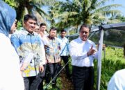 15 Ribu Hektare Jagung Disetujui, Sulut Masuk Radar Prioritas Nasional