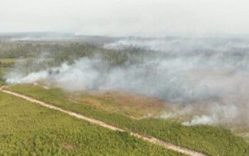 TNI AU Tambah Kekuatan Udara, 52 Pesawat Dikerahkan Hadapi Karhutla di Enam Provinsi