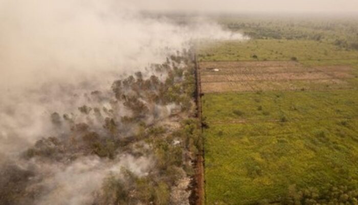 Misteri Kabut Tebal di Kotamobagu: Cuaca Alamiah atau Asap? DLH Sudah Lapor ke Kementerian
