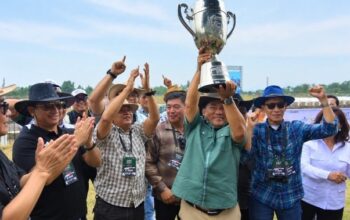 Sulut Panen Gelar di Kejurnas PORDASI Tompaso! Sun Power Nagari dan Paco Eclipse Jadi Bintang